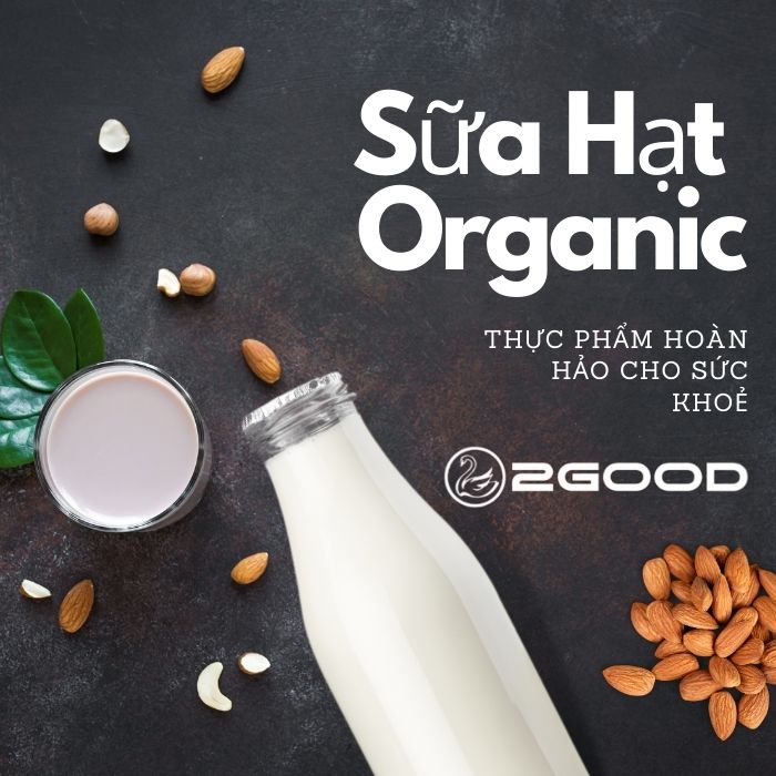 Bật Mí Cách Uống Sữa Hạt Giảm Cân Đẹp Da
